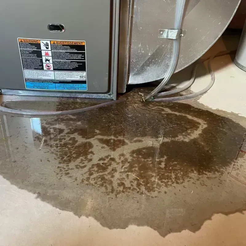 Appliance Leak Cleanup in Divernon, IL